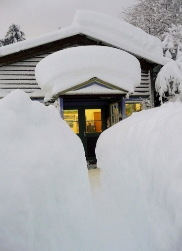 美国阿拉斯加遭遇30年最大的降雪大雪厚达4.6米（高清图集）
