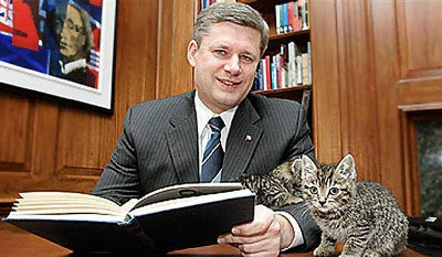 总理哈珀和爱猫。(取材自政府网站)  