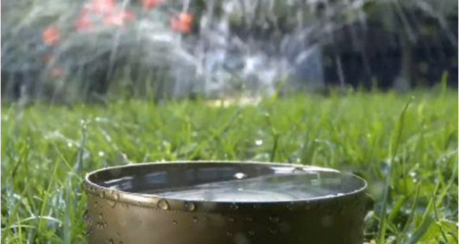 大温完全禁止草坪洒水已周余，但专家认为应该更早实施。 （本报资料照片）