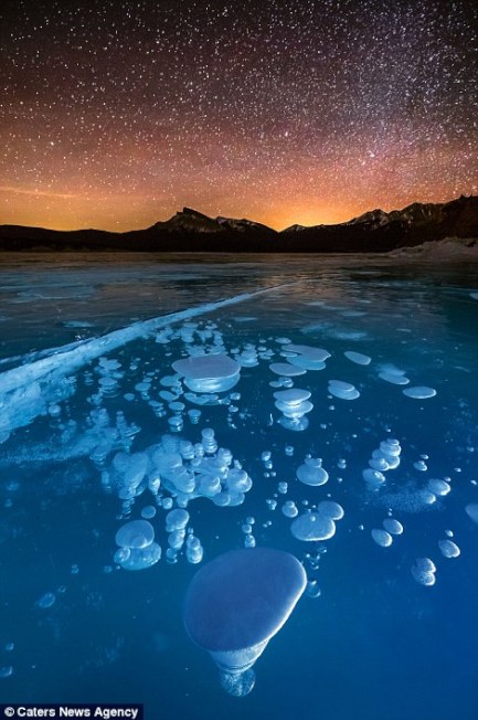 繁星搭配冰湖中的气泡，美丽至极。（取材自英国每日邮报）