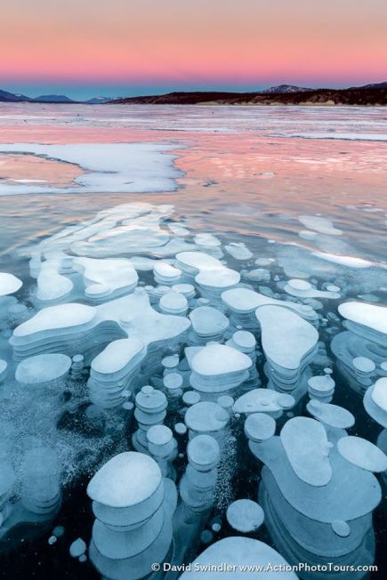 湖面下的气泡被冰封住，呈现意外的美景。（取材自David Swindler脸书）