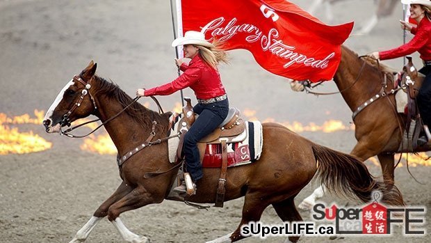 Image result for Calgary Stampede