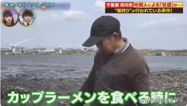 日本江户川生蚝无人挖，中国游客：“让我来吃！”